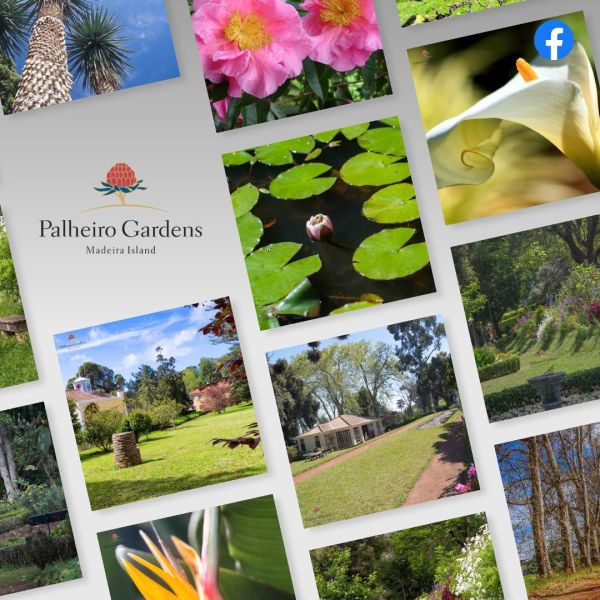 Palheiro Gardens