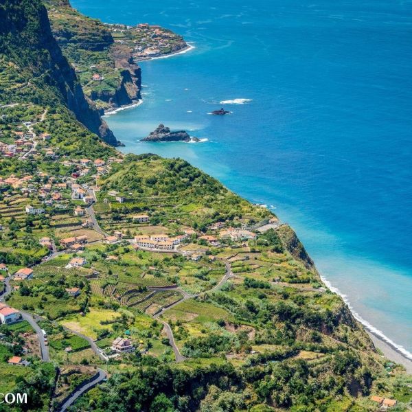 Magical Madeira island... 🌸
The beautiful sights of the sub-tropical island of Madeira.
.
#madeiranowordsneeded #visitmadeiraisland #island #navegabemwebdesign #websites #islandlife #portugal #madeira #acontecemadeira #madeiraportugal