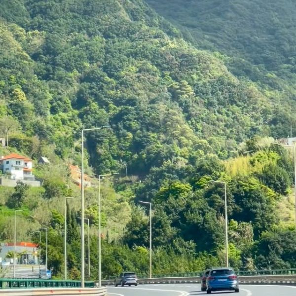 Lovely day ☀️🌸🌺🌸☀️
#madeira #portodacruz #navegabemwebdesign #webdesign #joomla