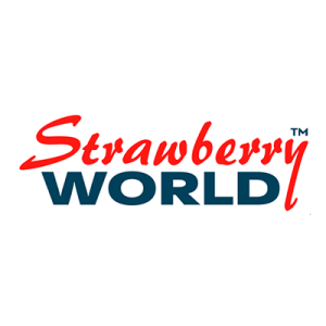 strawberry-world