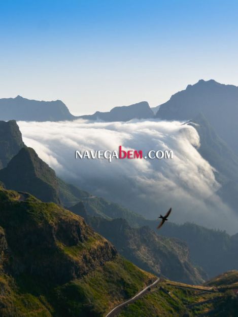 Time to Enjoy...
Happy weekend to all 😍🌸🍃🥾🥰

 #verão #weekend #fimdesemana #navegabemwebdesign #acontecemadeira