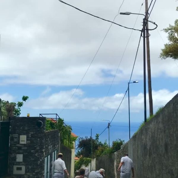 Experience the thrill of Monte Sledges in Madeira! These 19th-century wicker and wood toboggans, handmade by craftsmen, offer a unique 2km ride from Monte to Funchal. Pushed by “carreiros” in traditional attire, using their boots as brakes, it’s a 10-minute adrenaline rush with panoramic ocean views. An absolute must-do! #MonteSledges #Madeira #Travel #madeiratãotua #island #navegabemwebdesign #portugal #navegabem #responsivedesign #webdeveloper #funchal #websitedevelopmentservices #carrodecestos #monte